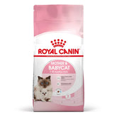 Royal Canin Aliment Sec pour Chat Mother & Babycat